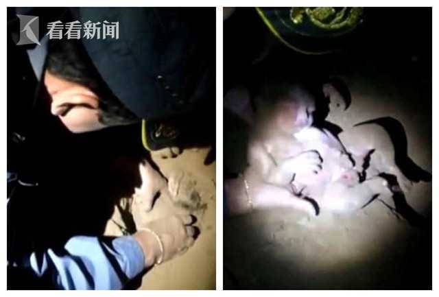 巴西一刚出生的女婴被家人被亲人活埋 8小时后警方挖出奇迹生还