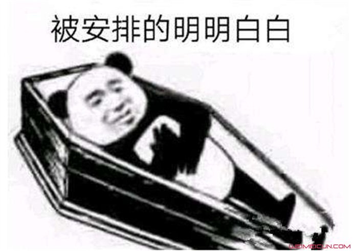 安排的明明白白表情包