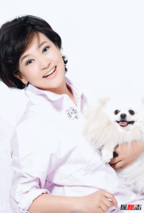 张伟杰失踪之谜,大连电视台女主持死了-(与薄有染怀孕