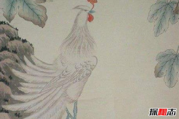 传说中的十大凤凰,除了古代五凤,凤凰还有那些异种