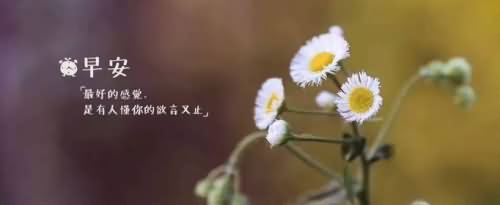 早安的调皮句子有哪些