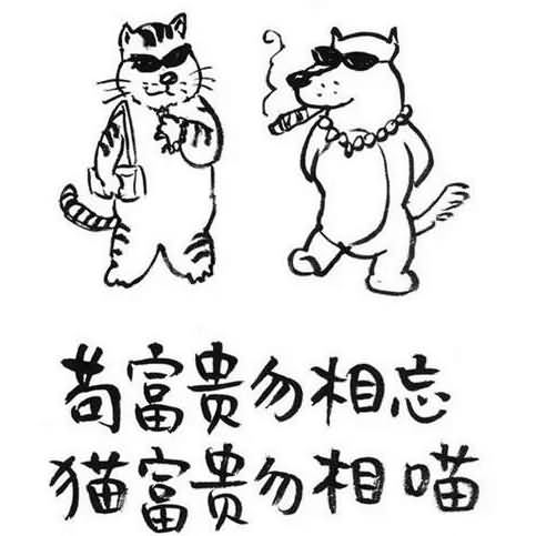 苟富贵勿相忘是什么意思由是无亲陈王者