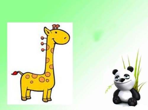 tall的意思是什么?