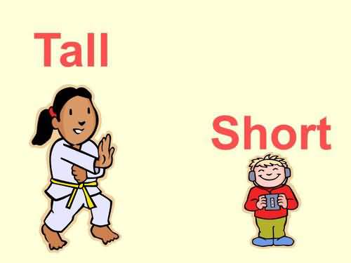 tall的意思是什么?