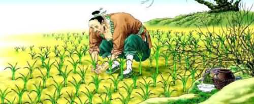 《拔苗助长》告诉我们什么道理?