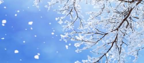 艳阳天里真的能大雪纷飞吗?