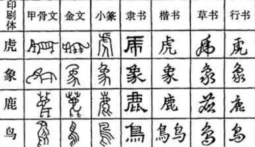 汉字演变过程的时间排序是什么? - 天晴科普网