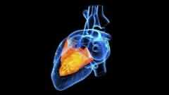 机器心脏会改变病人的意识吗？