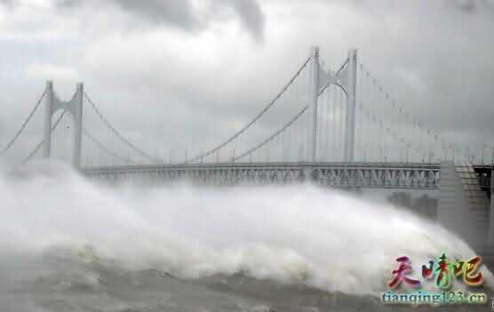 韩国遭台风袭击