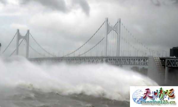 韩国遭台风袭击 台风已造成7人死亡
