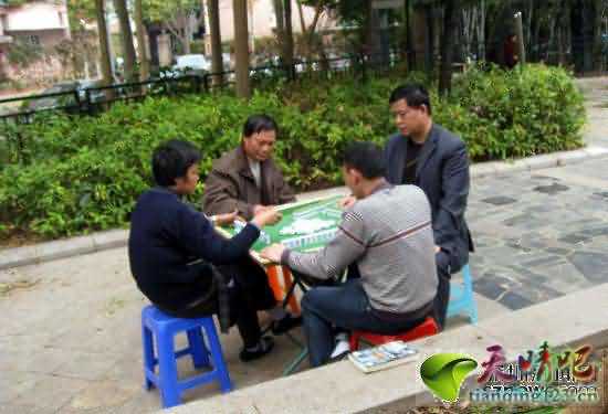 深圳景田小公园摆满麻将桌 成露天赌场