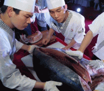 温州现715斤巨型金枪鱼 最贵一块肉3800元1两（5）