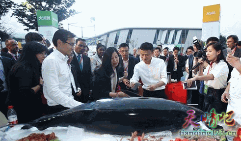 温州现715斤巨型金枪鱼 最贵一块肉3800元1两（6）