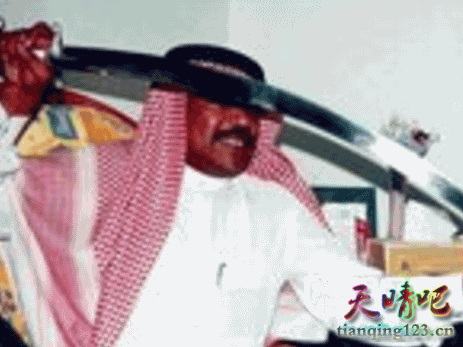 沙特王子杀人被处决