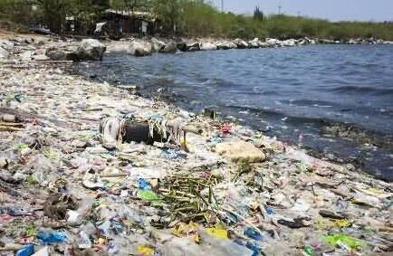塑料危机席卷全球是怎么回事？具体什么情况?