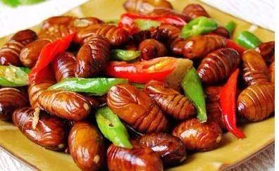 不愿吃昆虫