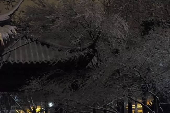 杭州积雪西湖边白茫茫一片