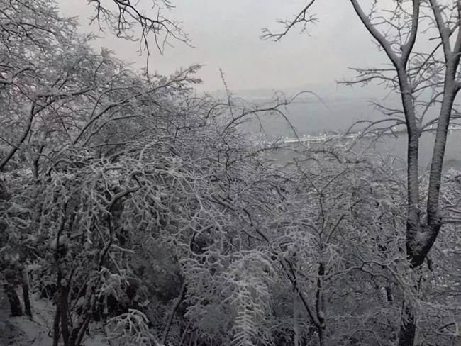 杭州积雪西湖边白茫茫一片