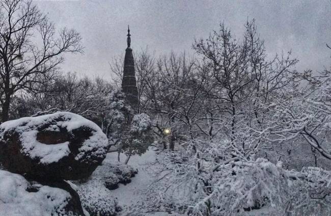 杭州积雪西湖边白茫茫一片