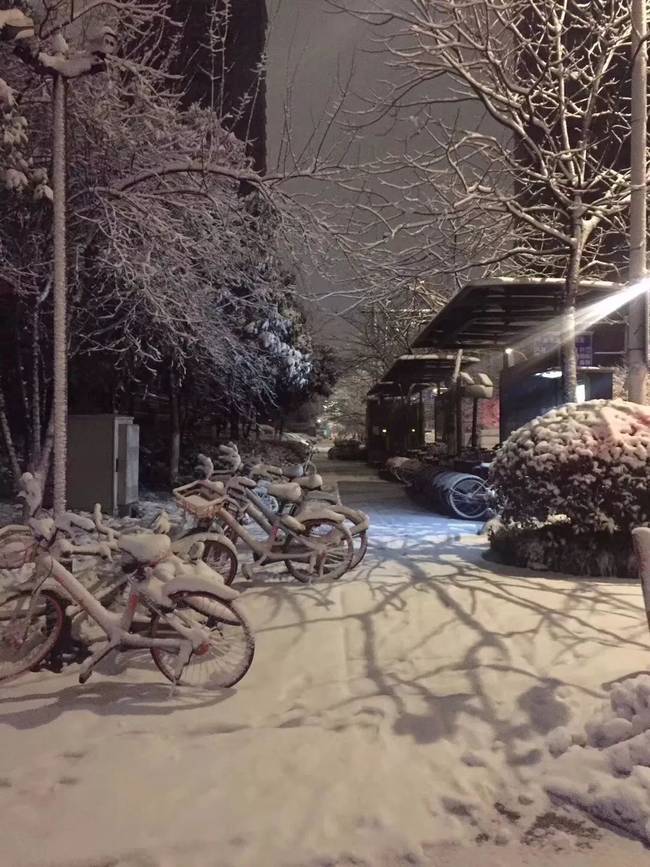 杭州积雪西湖边白茫茫一片