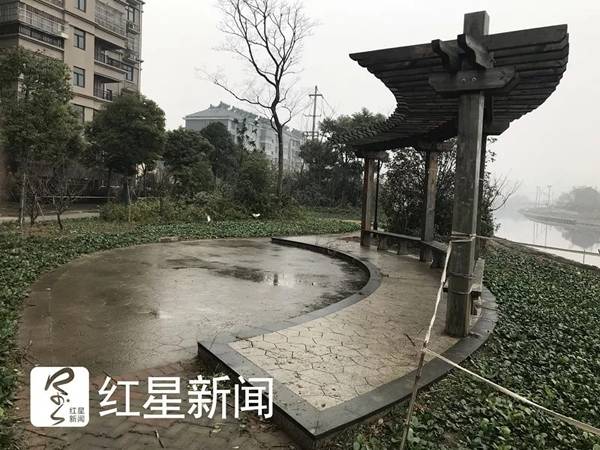 泰兴市黄桥9岁男孩因丢手机被妈妈打死