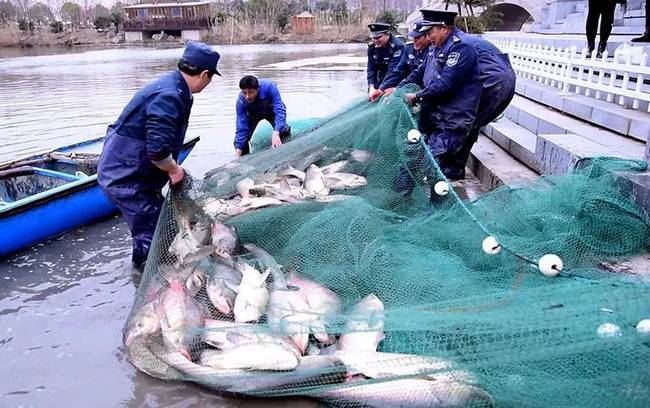 同济大学浙江学院80亩