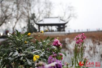 大雪的杭州西湖初雪美不胜收 现断桥残雪
