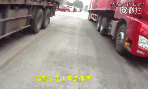 司机用羊粪挡车牌