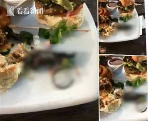 男子吃汉堡咬不断 里面竟夹了只湿淋淋死老鼠