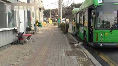现实版“猫的报恩”！断腿小猫每天追恩人司机车