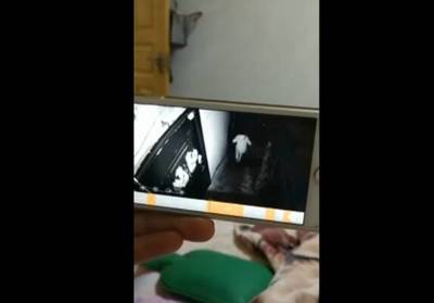 女孩垃圾放邻居门 “午夜凶铃”竟然是场恶作剧