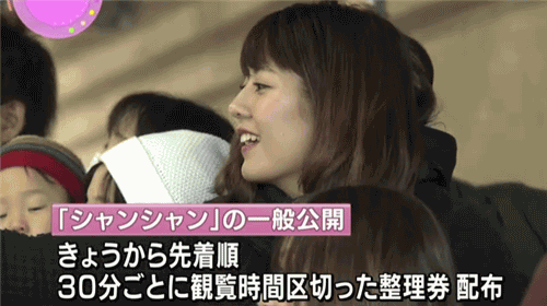 熊猫香香公主