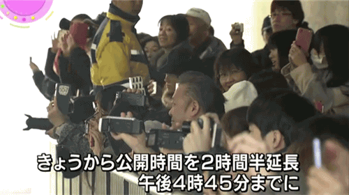 熊猫香香公主