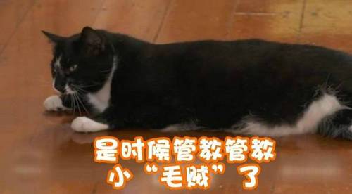 大胆“毛贼”摸黑作案 一周偷走邻居一箱衣服