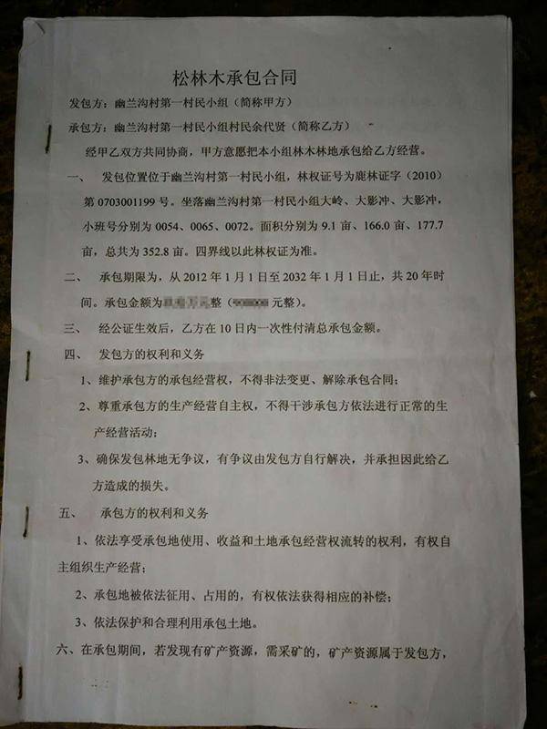 上山拔除了这几百亩桉树