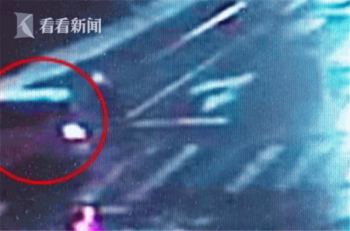 父子三人共同盗窃蜂箱