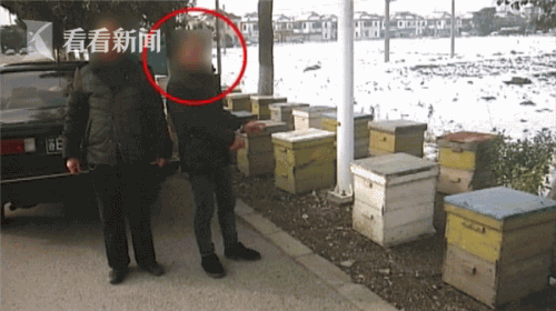 父子三人共同盗窃蜂箱