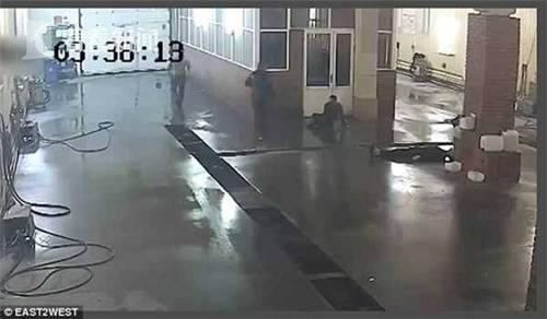 司机半夜洗车撒野 两拳击倒两名洗车工一人身亡