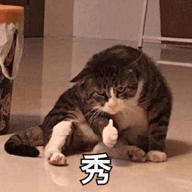 笑喷！新中年男判定标准出炉 网友回复笑惨了