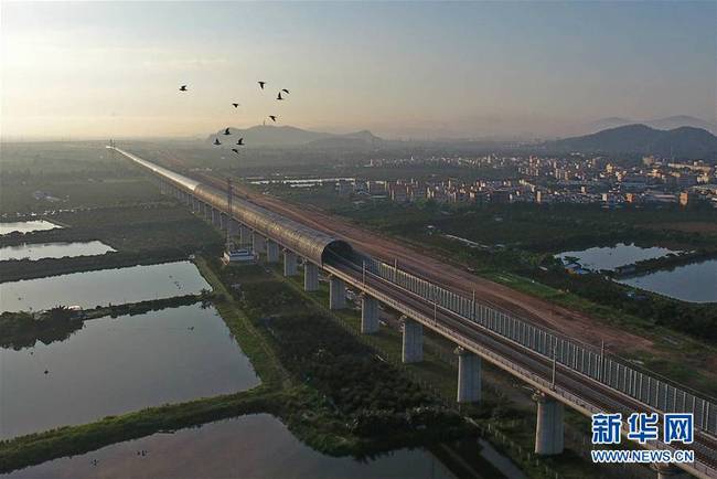 6月28日清晨，一群小鸟从江湛铁路上空飞过。