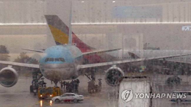 韩国两客机碰撞部分机身受损,无人员伤亡
