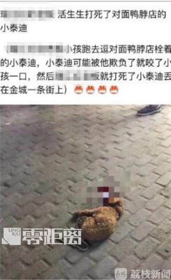 儿子被咬摔死泰迪 男子遭网友死亡威胁