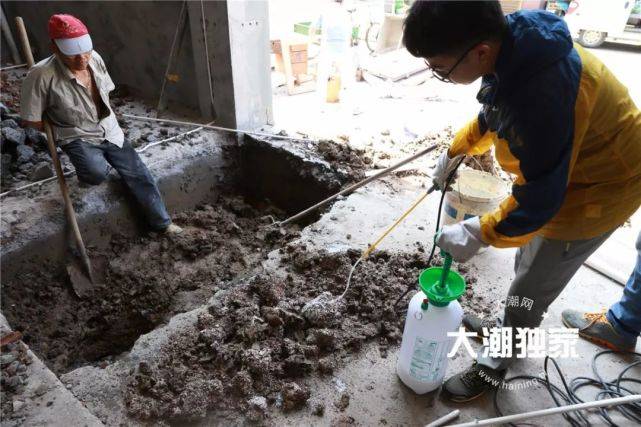 居民家挖出成千上万只白蚁 房子下面还有十几个窝