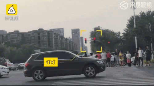 【小学生闯红灯过马路逼停多辆车：不怕，出了事家里有钱治】6月15日，河南郑州，一群小学生闯红灯过马路，窜进车流追逐打闹，逼停多辆轿车。拍客随后追上他们，询问他们闯红灯的事情，但他们毫不在意称：不怕，出了事家里有钱治。还有一个小学生笑称：“他家可有钱，他家开保时捷。” 这事你怎么看？