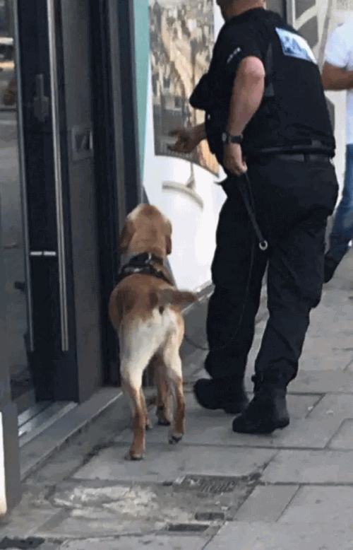 英国一地铁站爆炸