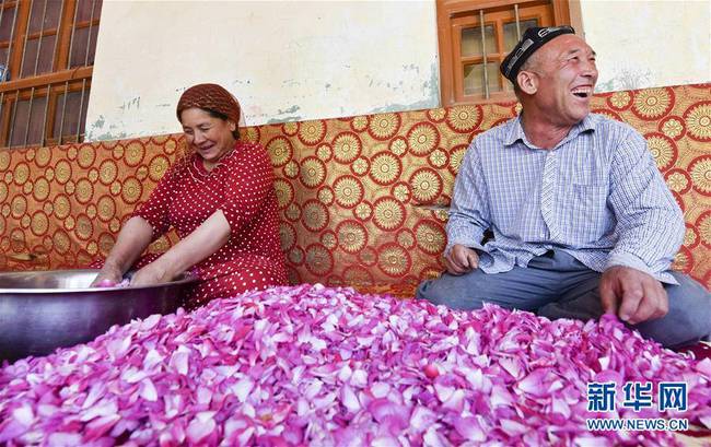 在和田市伊力其乡依盖尔其村，花农如则托合提·如孜（右）和爱人塔吉妮萨·伊敏在制作玫瑰花酱（6月6日摄）。
