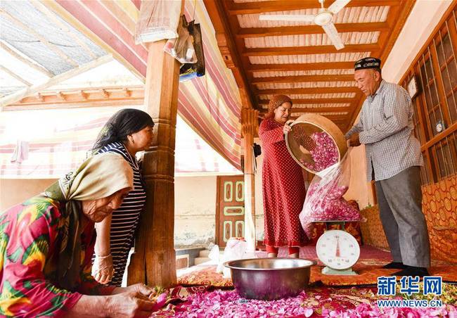在和田市伊力其乡依盖尔其村，花农如则托合提·如孜（右）和爱人塔吉妮萨·伊敏（右二）在街坊的帮助下制作玫瑰花酱（6月6日摄）。新华社记者 赵戈摄