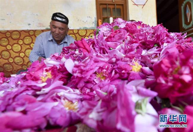 在和田市伊力其乡依盖尔其村，花农如则托合提·如孜在制作玫瑰花酱（6月6日摄）。新华社记者 赵戈摄