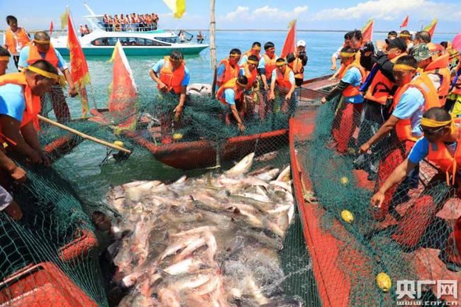 新疆博斯腾湖开湖捕鱼 “头鱼”拍出3.8万元（图）