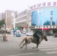 男子模仿网红视频在机动车道上骑马 被当街摔晕